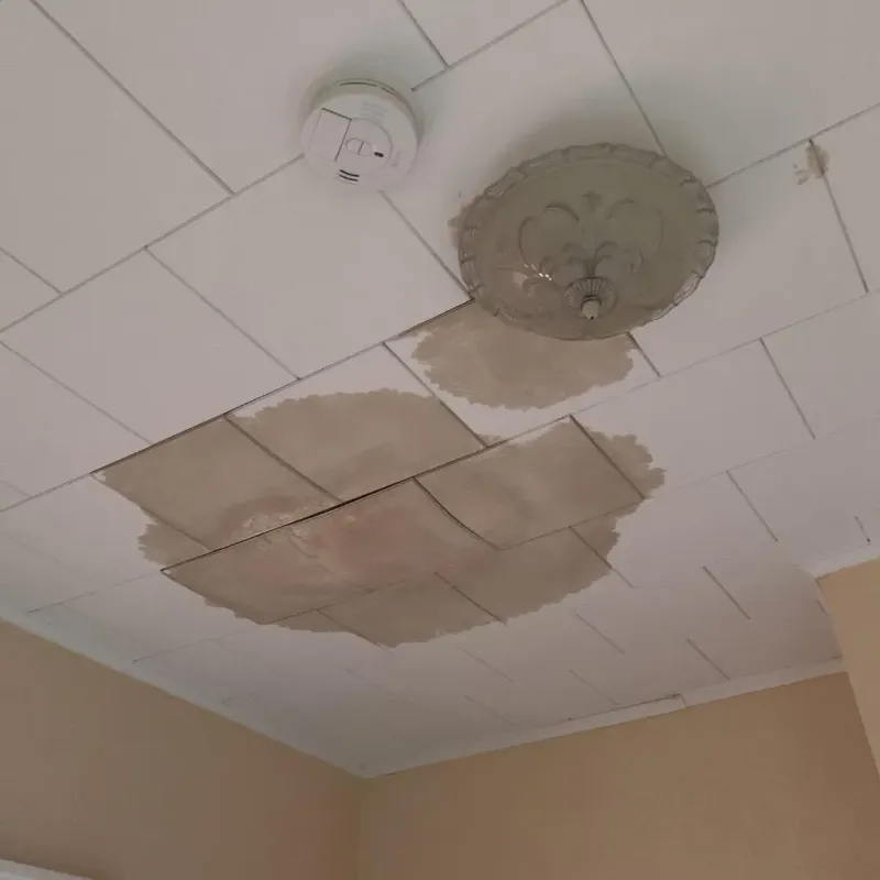 Ceiling Water Damage Repair in Paddock Lake, WI