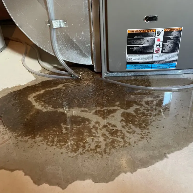 Pipe Burst and Leak Restoration in Paddock Lake, WI