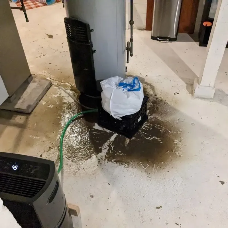 Sewage Backup Cleanup Service in Paddock Lake, WI